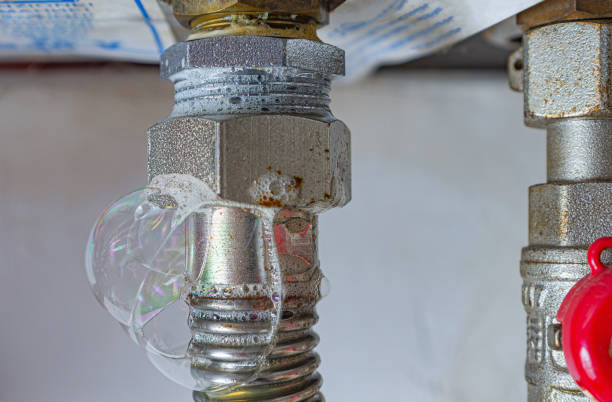 Istockphoto-1499369798-612x612