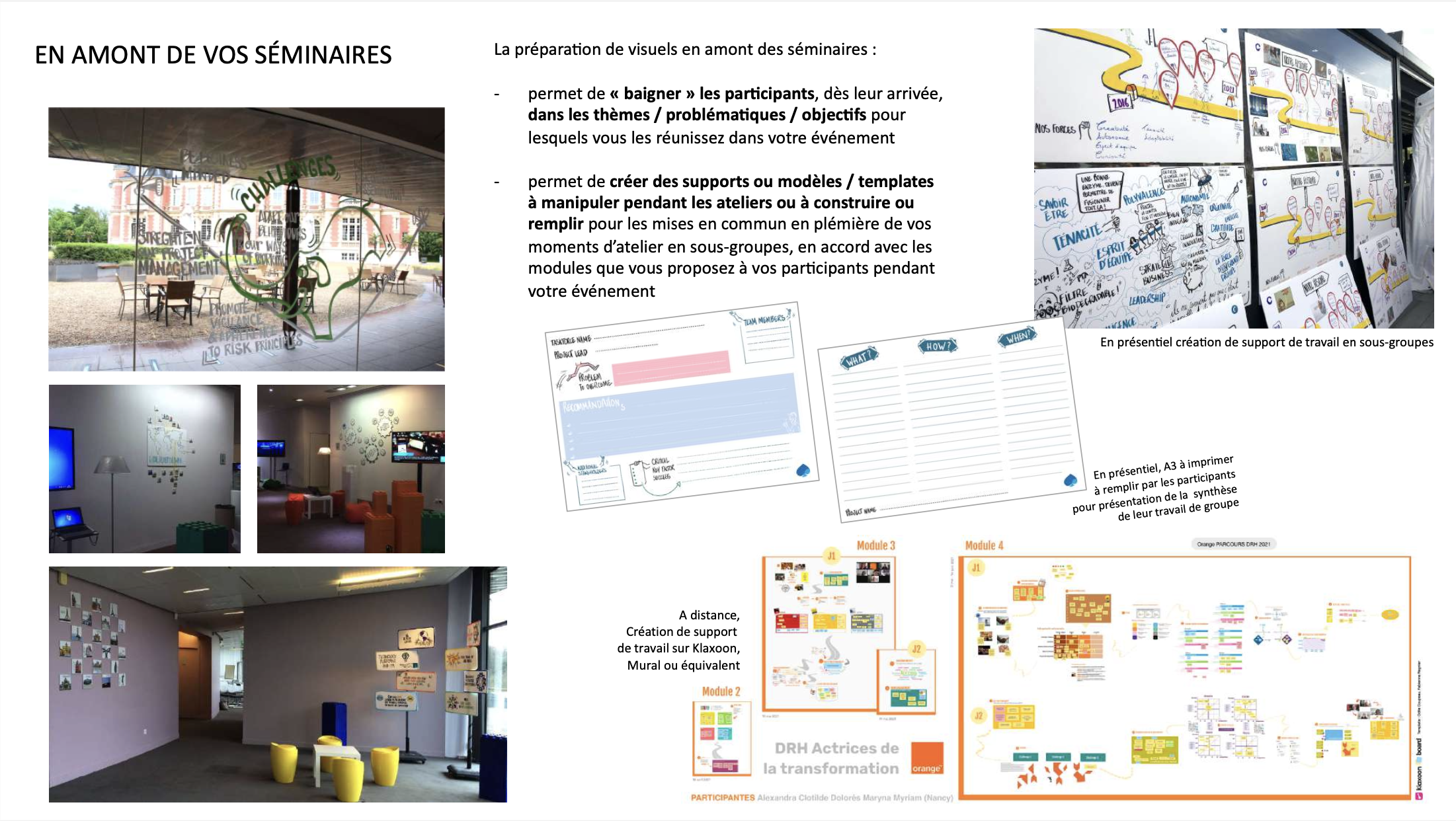 Fabienne regnier faregnier facilitation graphique scribing creation environnement