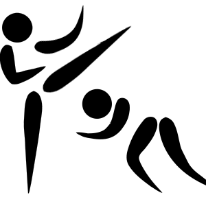 Mixed Martial Arts pictogramme