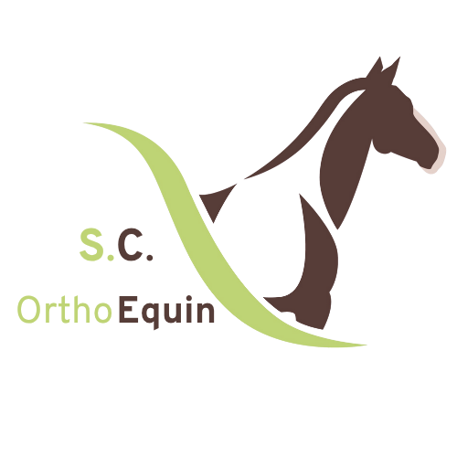 SC-Ortho-sans-fond