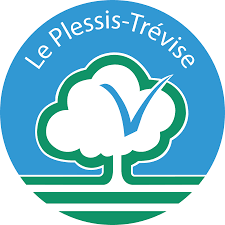 débarrasser épave voiture le plessis-trévise