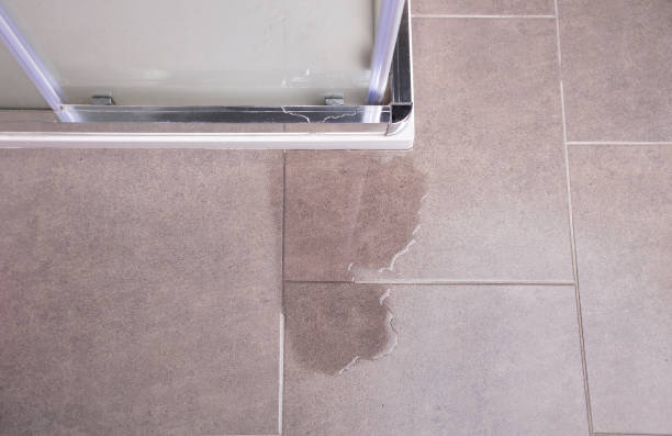 Istockphoto-1025059662-612x612