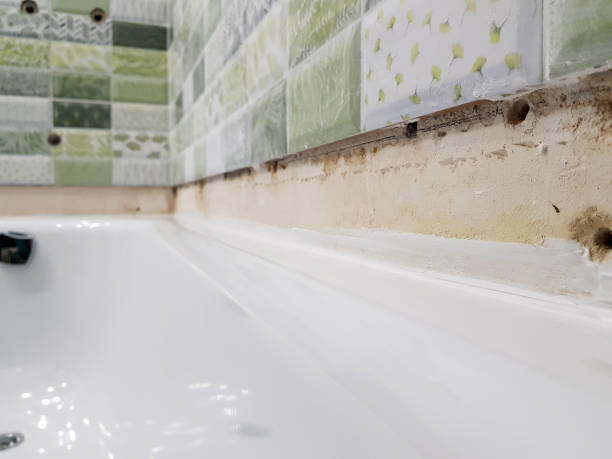 Istockphoto-1138558699-612x612