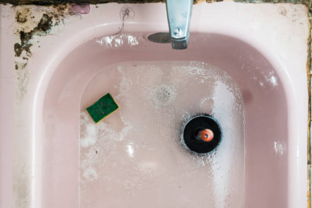 Istockphoto-800897640-612x612