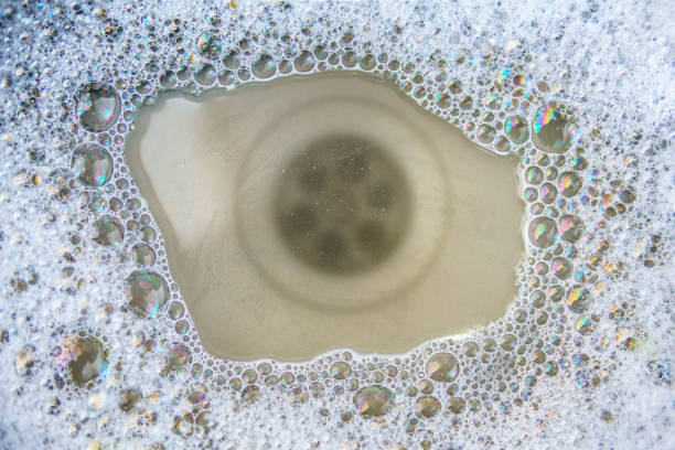 Istockphoto-1490954517-612x612
