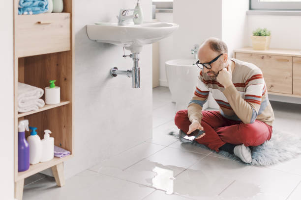 Istockphoto-2187991703-612x612