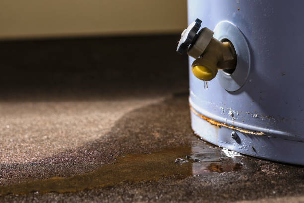 Istockphoto-1056805184-612x612