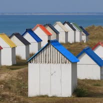 489039122 1290101216453795 1801357243243765306 n