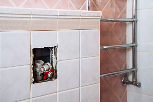 Istockphoto-2215797923-612x612