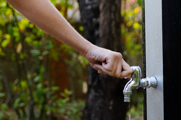 Istockphoto-2183142784-612x612