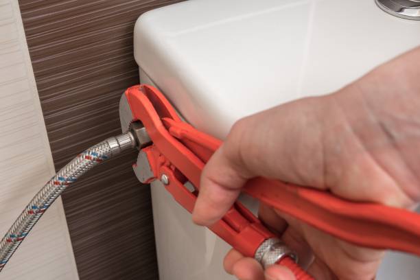Istockphoto-1312128434-612x612