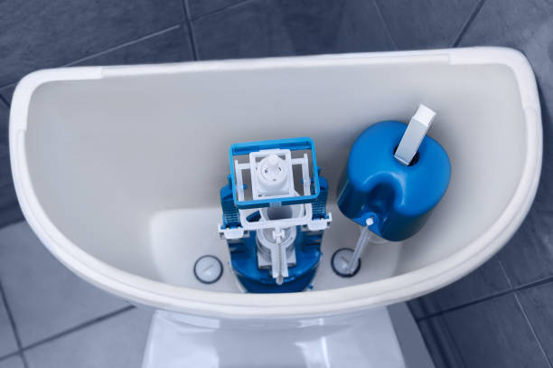 Istockphoto-1210176959-612x612