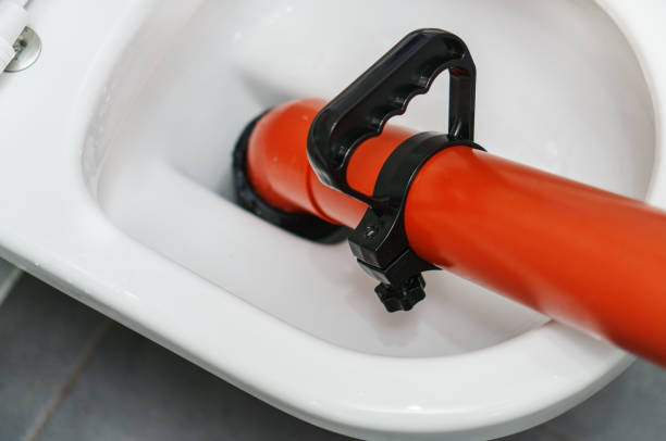Istockphoto-1312311800-612x612