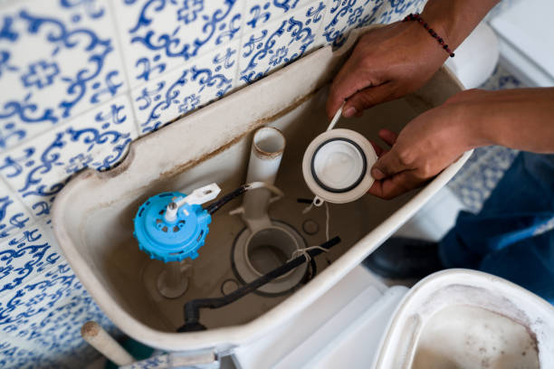Istockphoto-1345670566-612x612