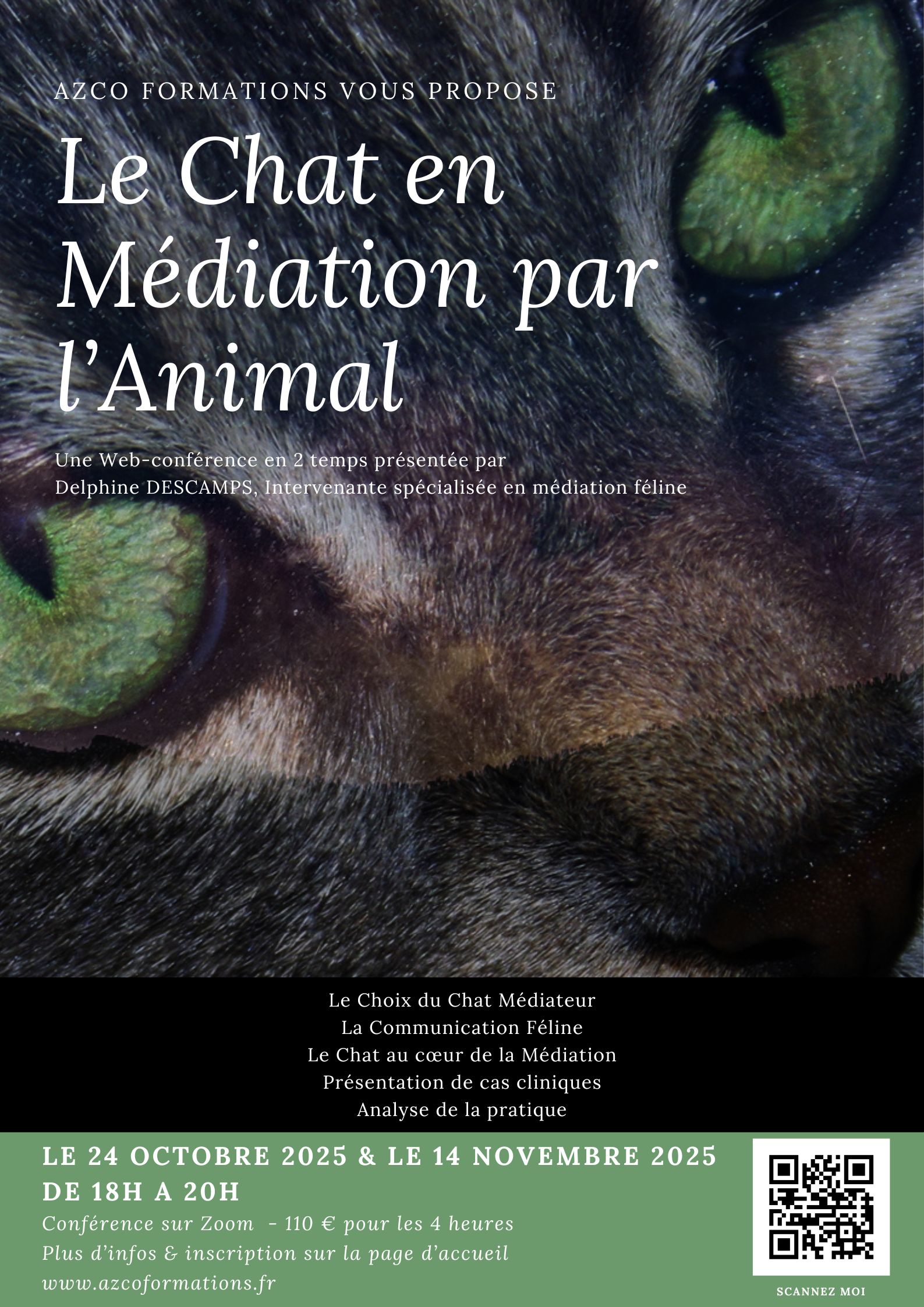 Affiche-mediation-feline-2025