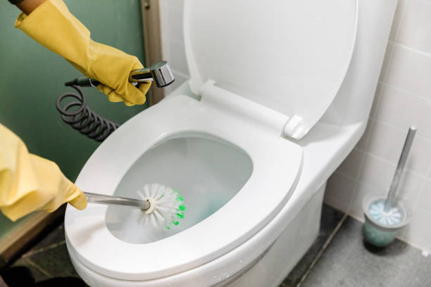 Istockphoto-1369692648-612x612