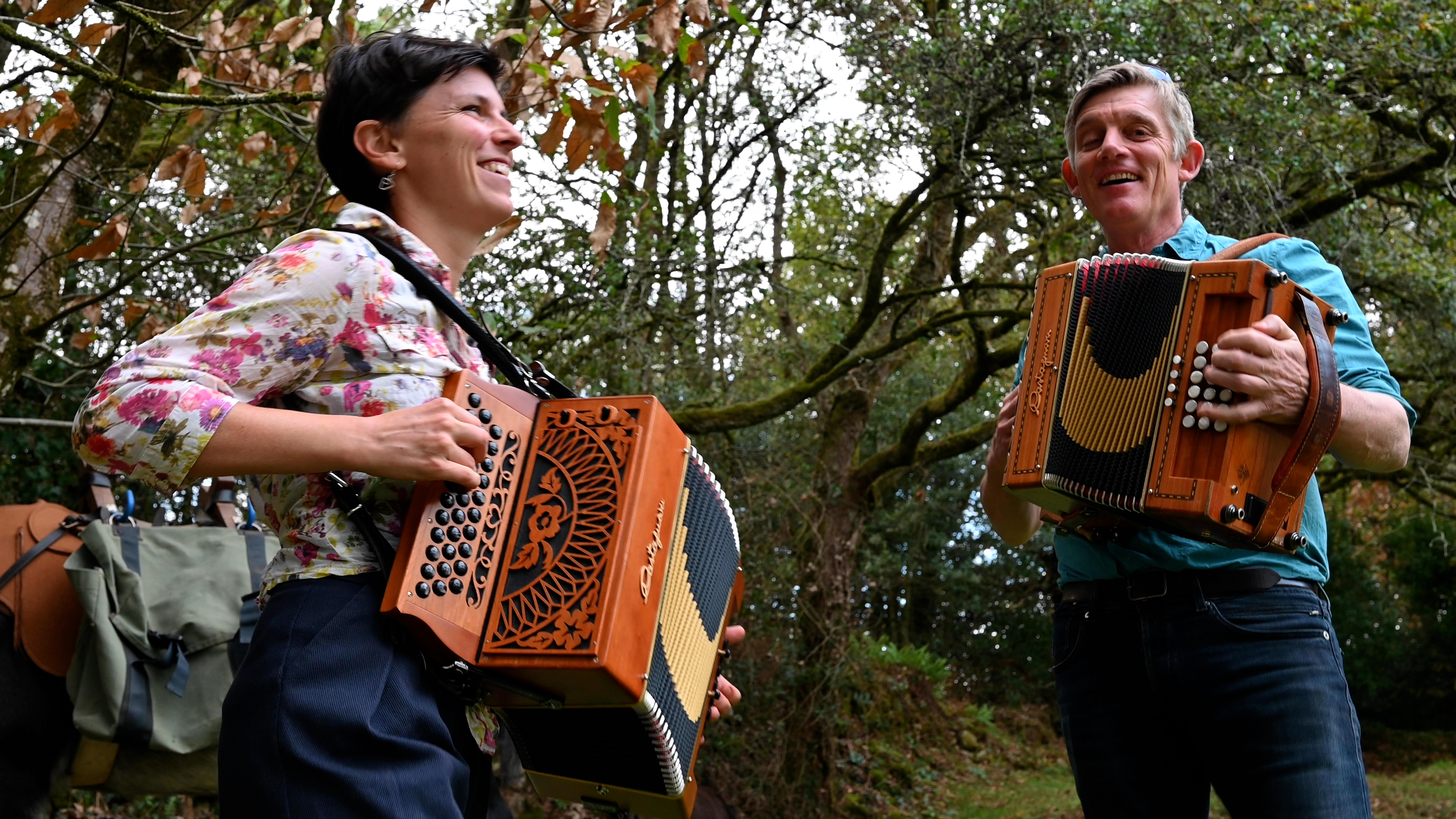 Dsc 1644 mov 00 00 25 11 still001