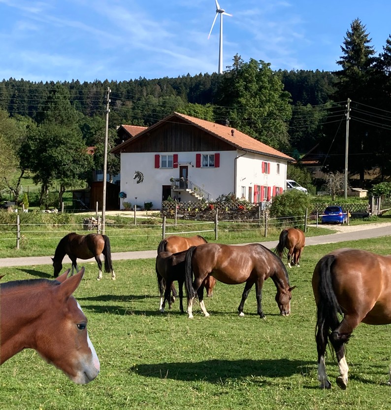 Accueil-Site-Peupe