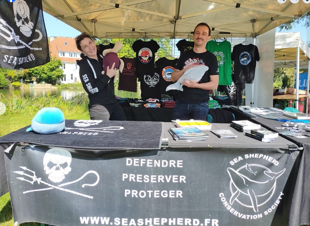 Sea-shepperd
