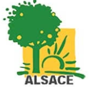 Collectif-alsace-des-luttes