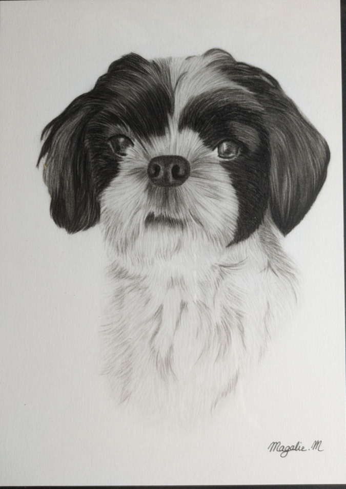 Pxl 20250820 083927065 mp 2