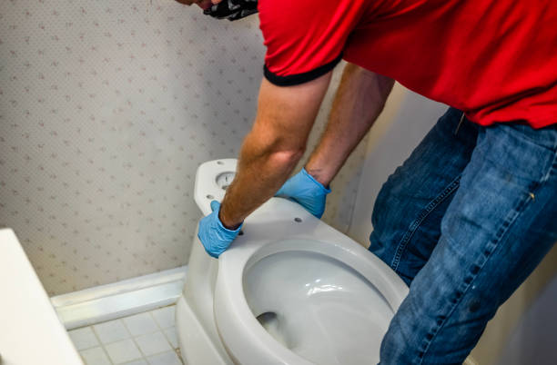 Istockphoto-1273581074-612x612