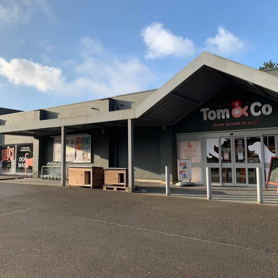 Tom-co-beaumont