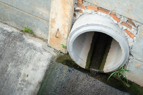 Istockphoto-1402644136-612x612