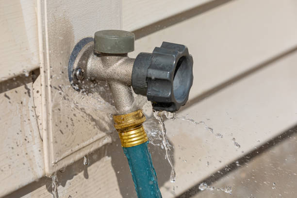 Istockphoto-1522227708-612x612