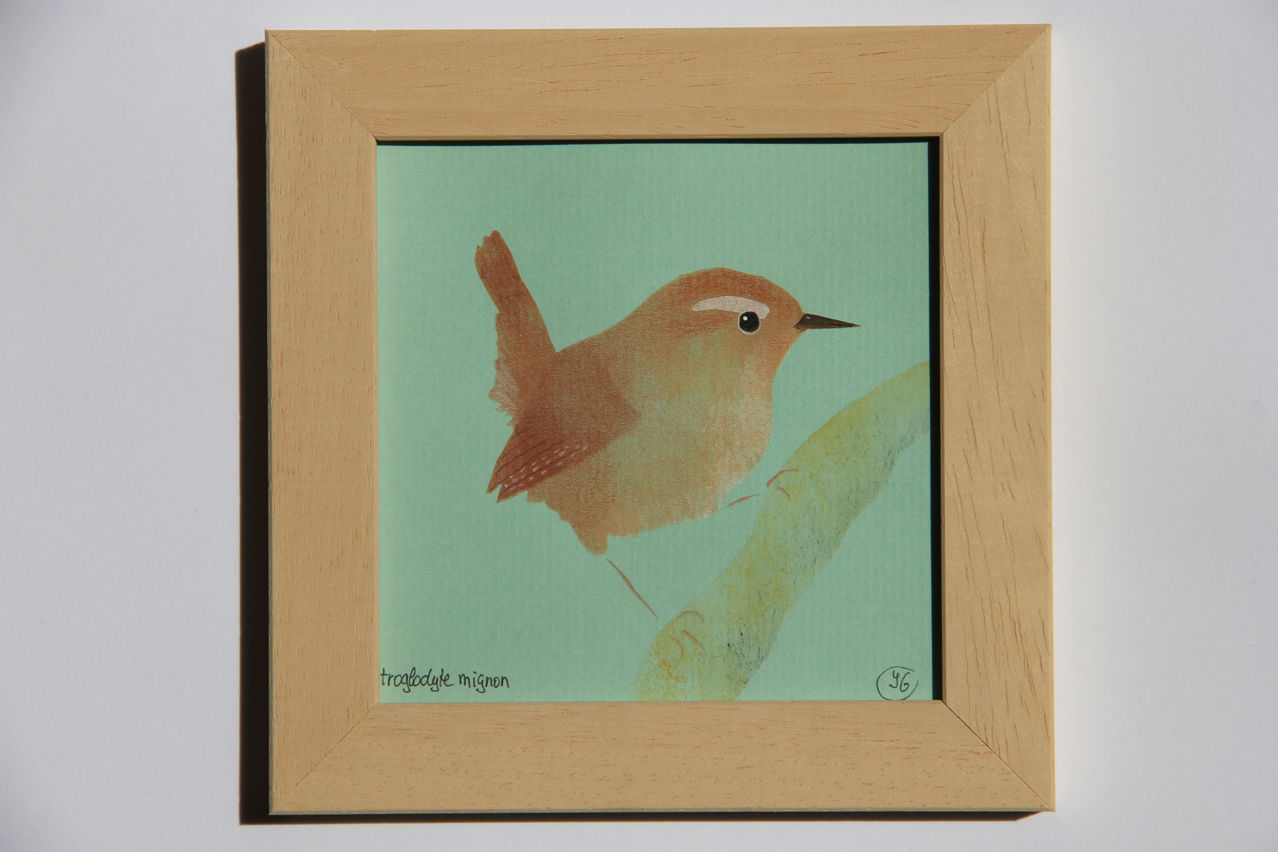 A428e7fd-b0f8-498b-909f-62855add50e9