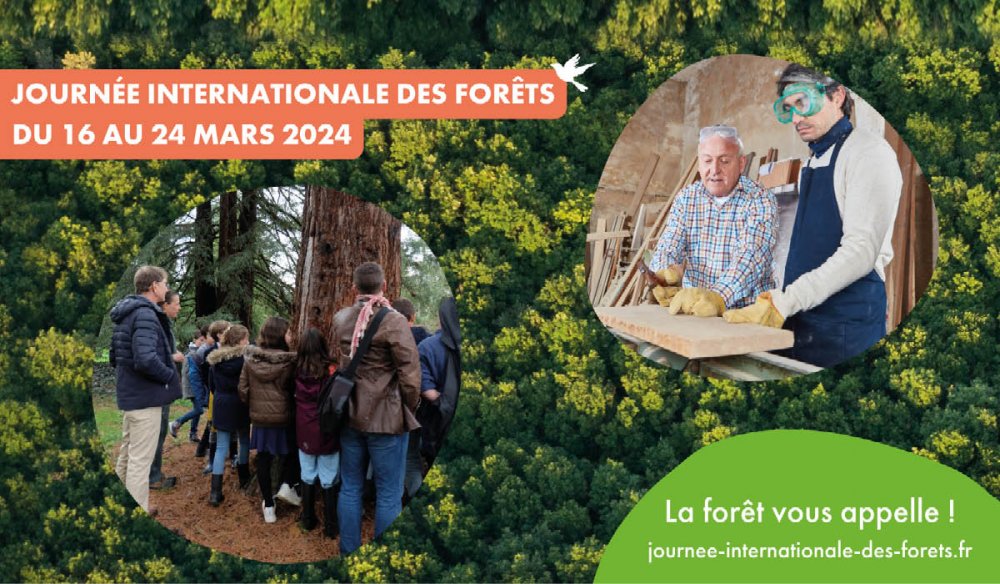 Journee des foret sur le chemin un arbre