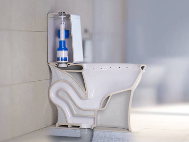 Istockphoto-1699253542-612x612