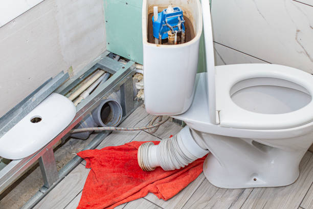 Istockphoto-2148931654-612x612