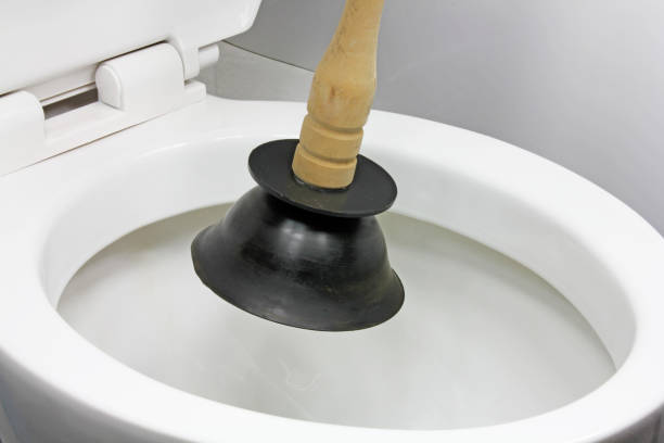 Istockphoto-1086914786-612x612