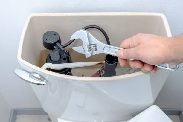 Istockphoto-1454928260-612x612