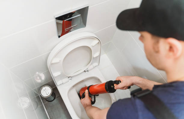 Istockphoto-1312311870-612x612