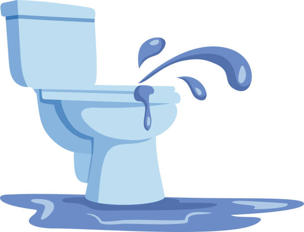 Istockphoto-1951514477-612x612