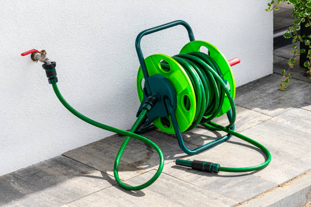Istockphoto-1469212506-612x612