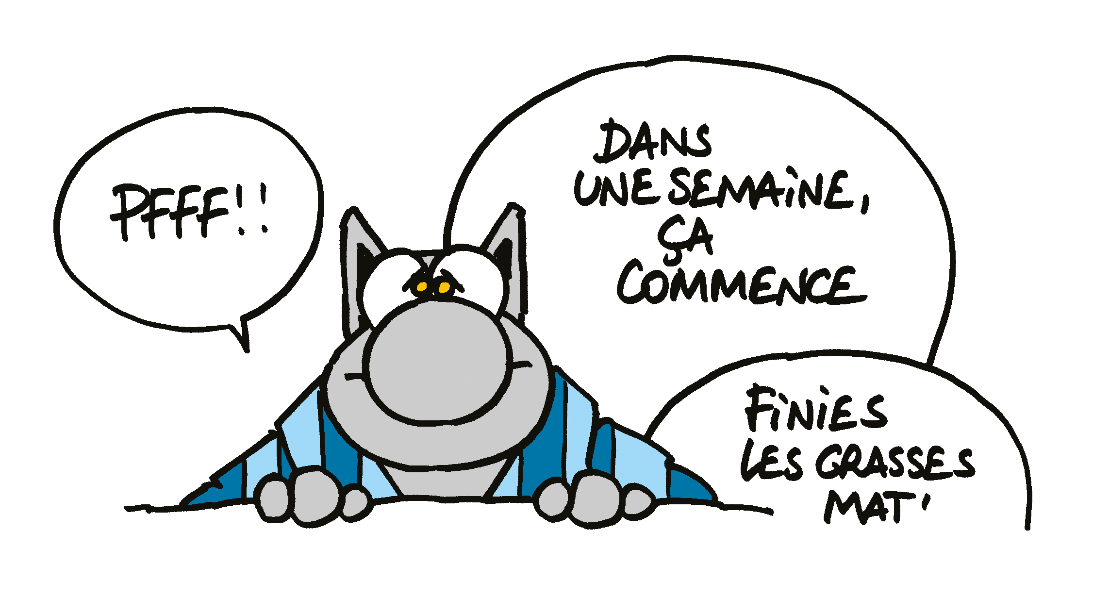 Le-retour-du-Chat