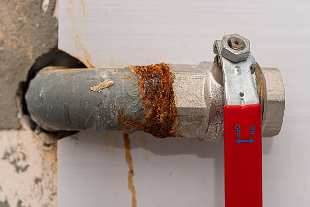 Istockphoto-2218797571-612x612