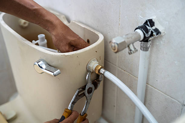 Istockphoto-2231239364-612x612