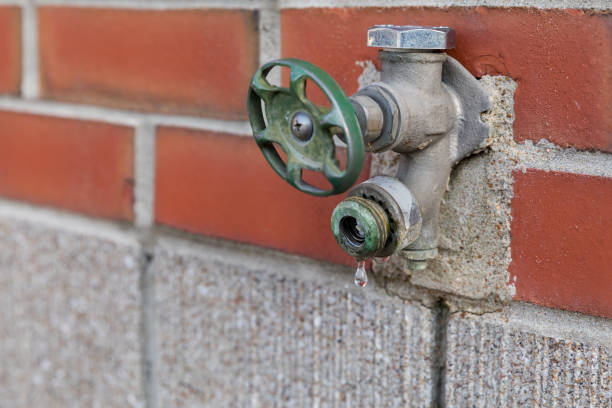 Istockphoto-1168219284-612x612