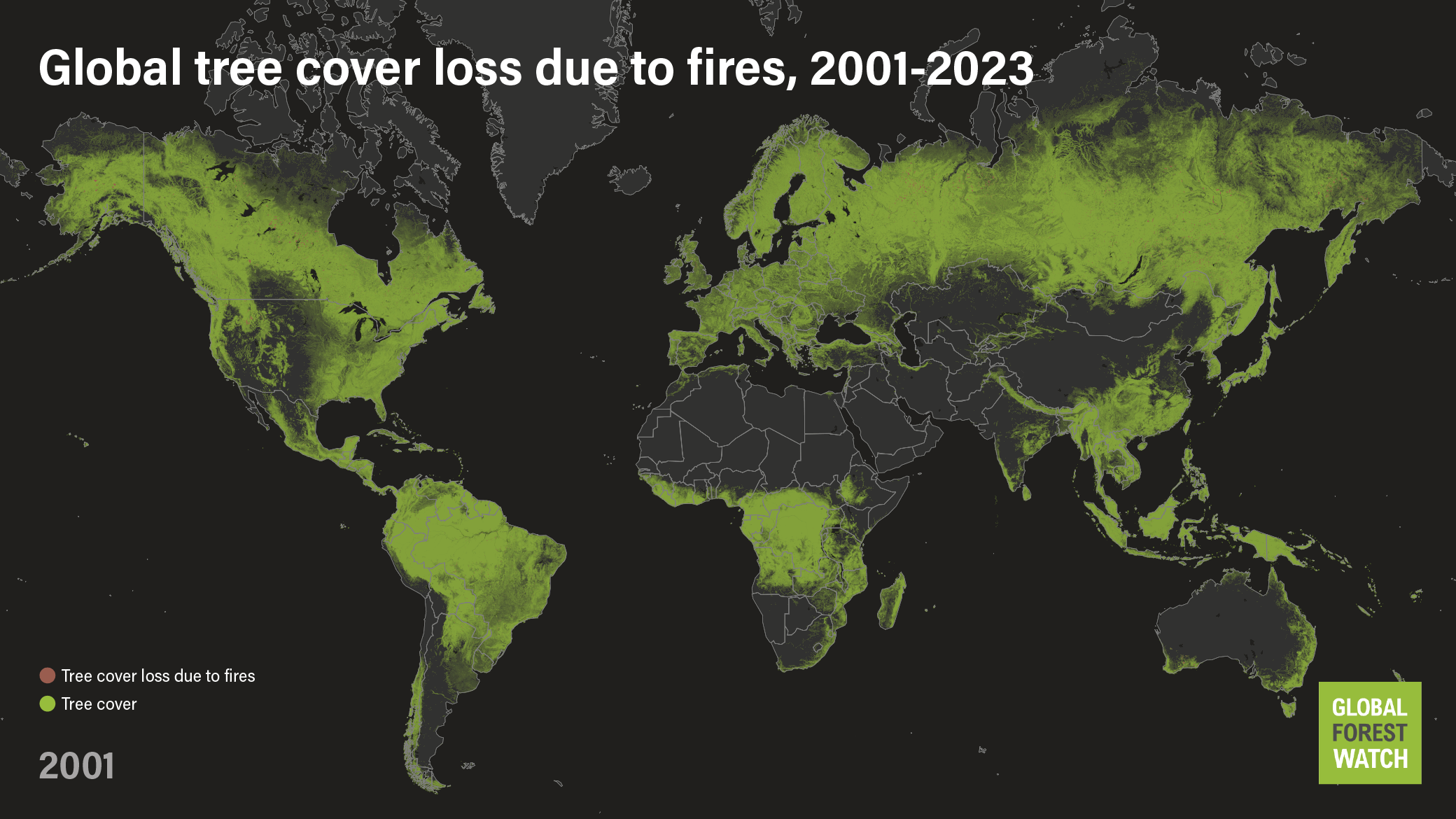 2024-Tree-cover-loss 2023