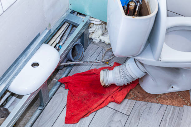 Istockphoto-1652158145-612x612
