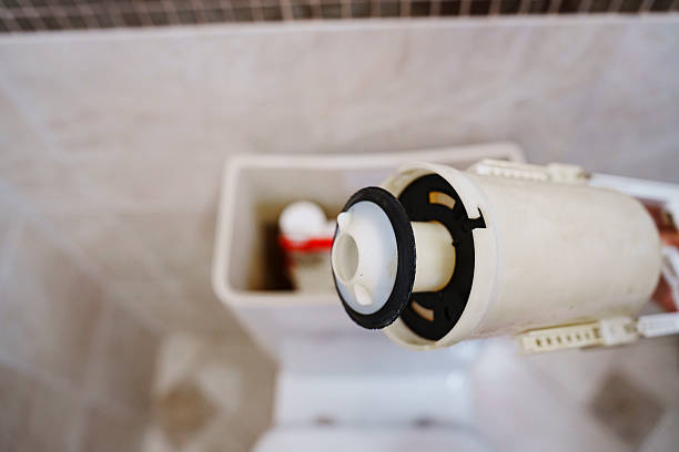 Istockphoto-2215009755-612x612