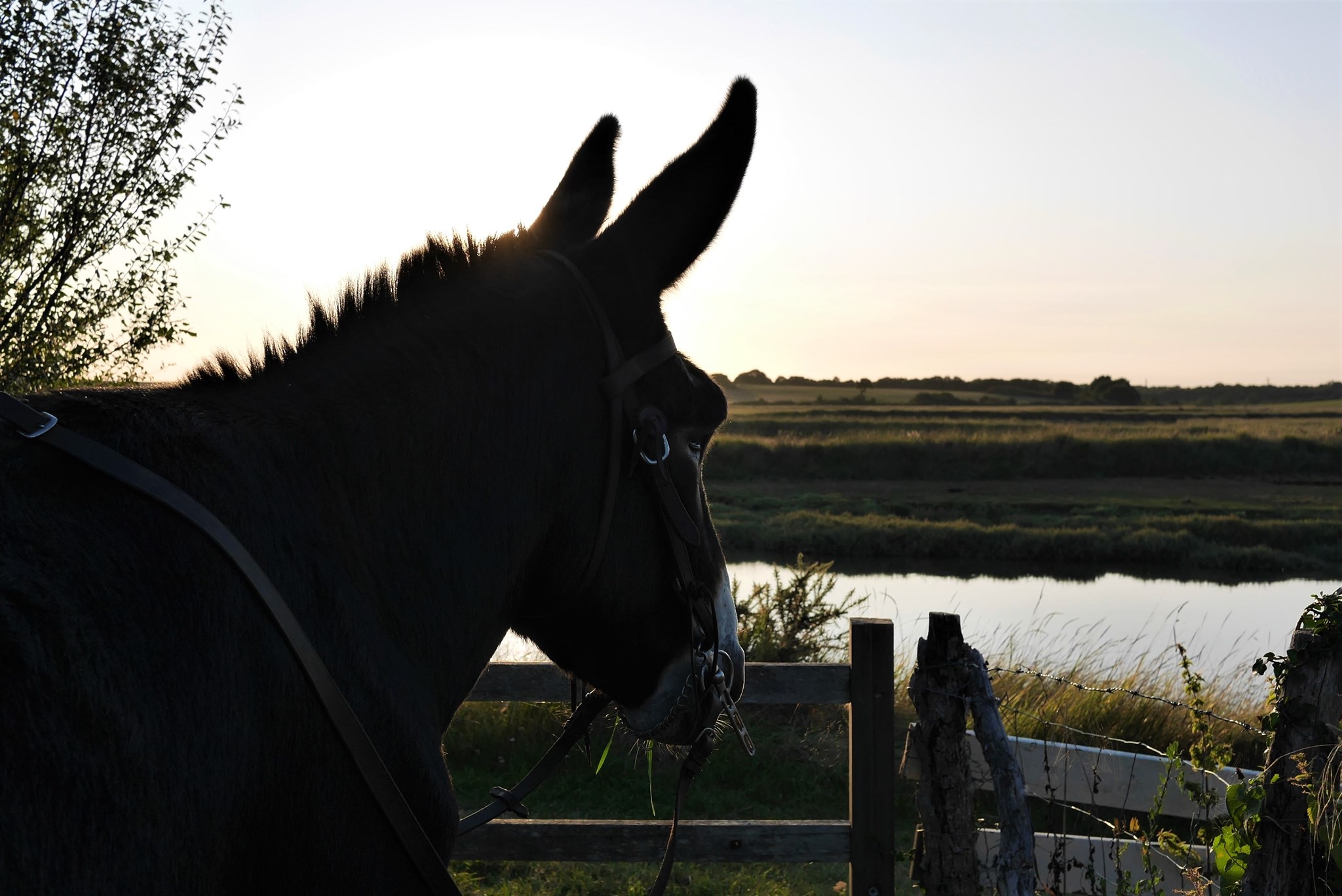 C'est encore l'été