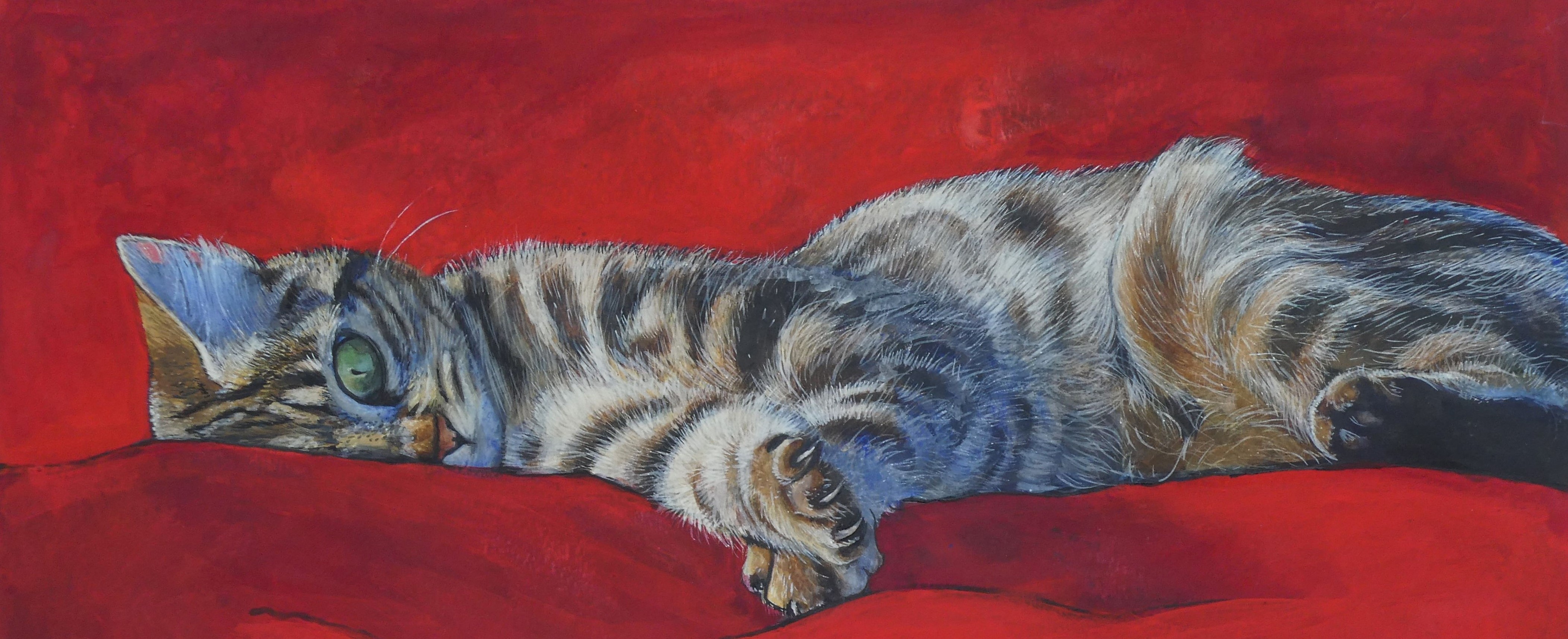 Chat-rouge-2