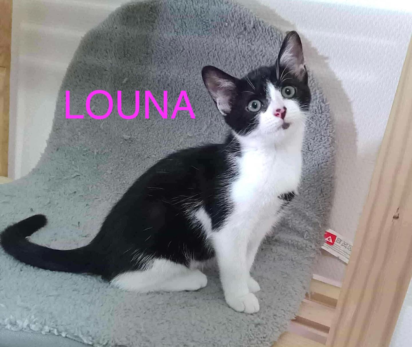 Louna