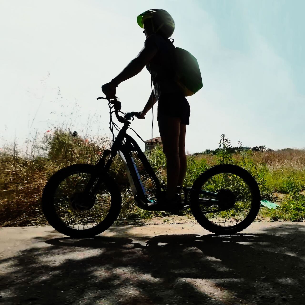 Trot trot trot 2023d