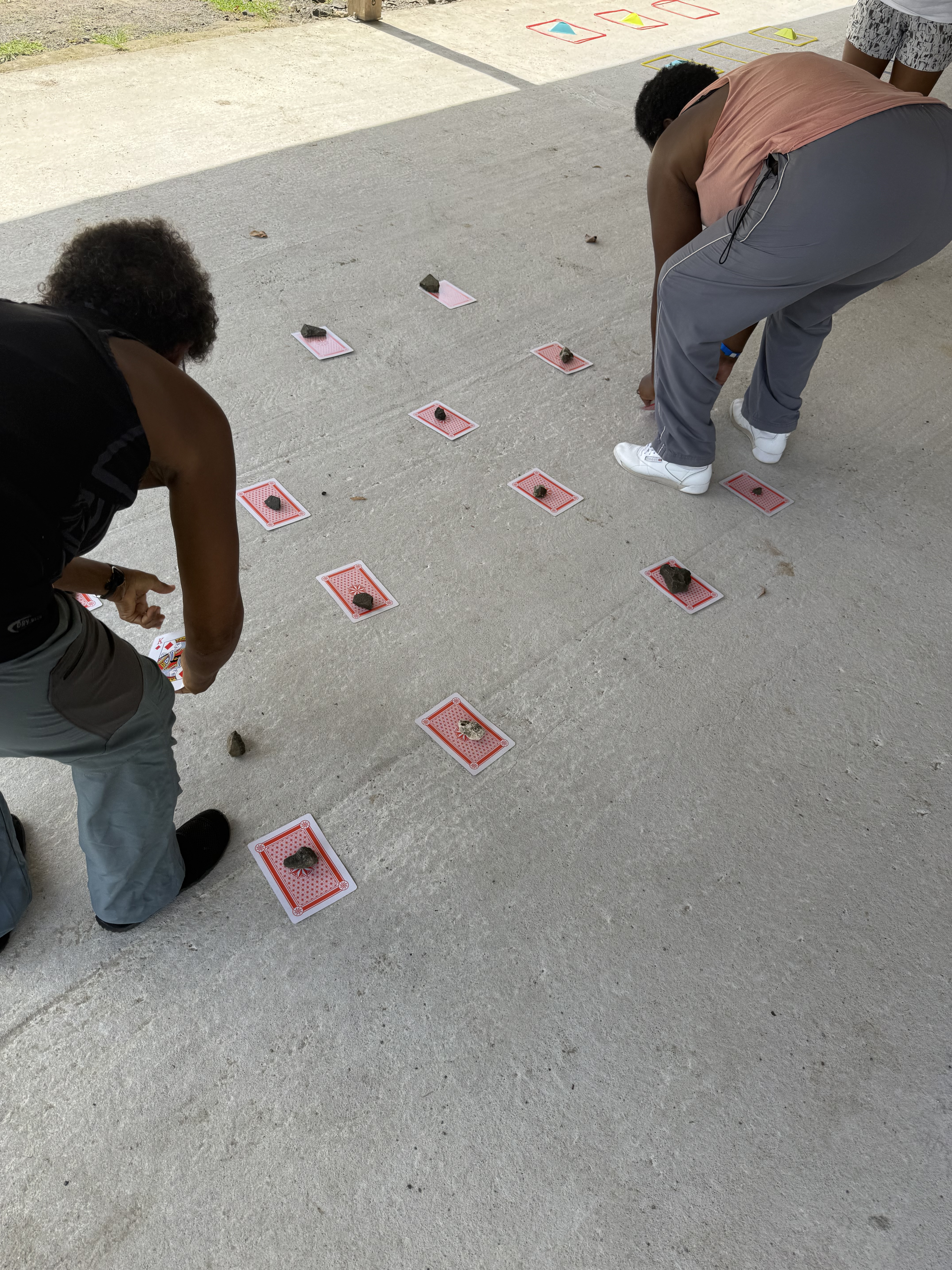 Img 4554 3